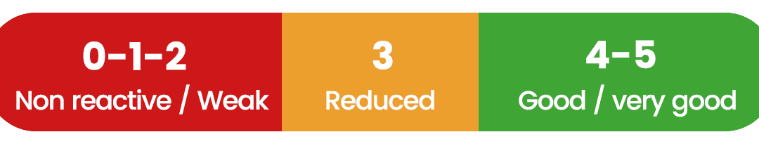 Score QPi EN png | IDMED